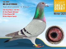 BE-24-6199660