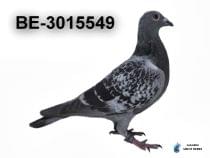 BE-3015549