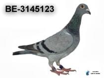 BE-3145123