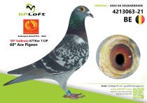 BE-4213063-21