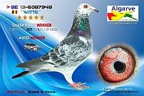 BE-6087948