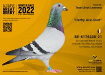 BE-6176338-21
