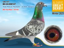 BG-24-008147