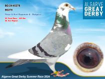 BG-24-45278