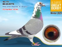 BG-24-45776