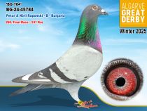 BG-24-45784