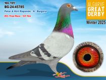 BG-24-45785