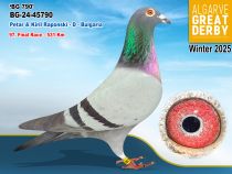 BG-24-45790