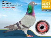 BG-24-45791