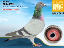 BG-24-45792
