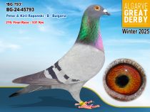 BG-24-45793