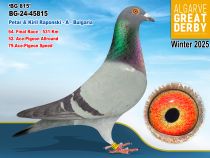 BG-24-45815