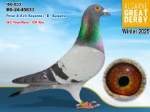 BG-24-45833
