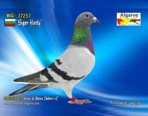 BG-37257