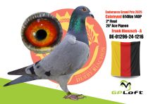 DE-01296-24-1216