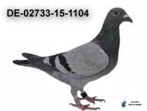 DE-02733-15-1104