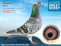 DE-24-0162-27