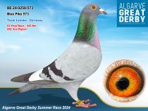 DE-24-0258-573