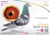 DK-250-19-1489