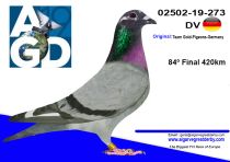 DV-02502-19-273