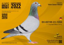 DV-02739-21-1252