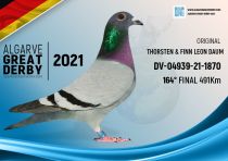 Pigeon Auction DV-04939-21-1870, seller Thorsten & Finn Leon