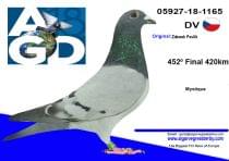 Pigeon Auction DV-05927-18-1165, seller Zdenek Pavlik (452º / Ace 