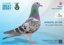 DV-06278-23-328