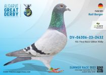 DV-06306-23-2432