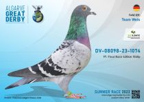 DV-08098-23-1074
