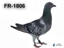FR-1806