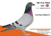 GB-18-Z-75082