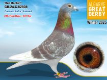 GB-24-C-82808