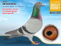 GB-24-N-52516