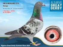 GB-24-NEHU-WD-1219