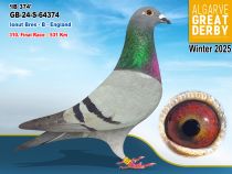 GB-24-S-64374