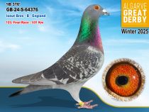 GB-24-S-64376