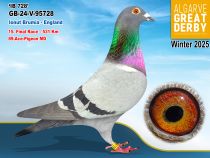 GB-24-V-95728