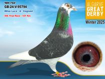 GB-24-V-95794