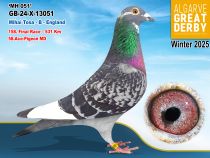 GB-24-X-13051