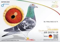 GB-28574-19