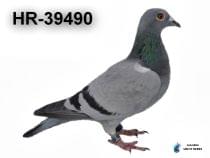 HR-39490