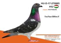 HU-D-17-270865