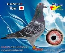 JPN-06732