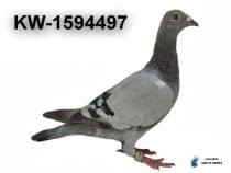 KW-1594497