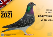 NEHU-TV-3918