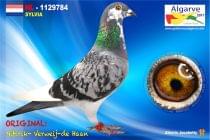 NL-1129784