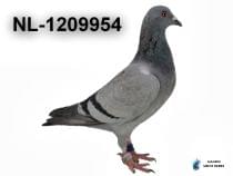 NL-1209954