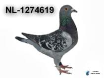 NL-1274619