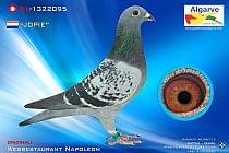 NL-1322095